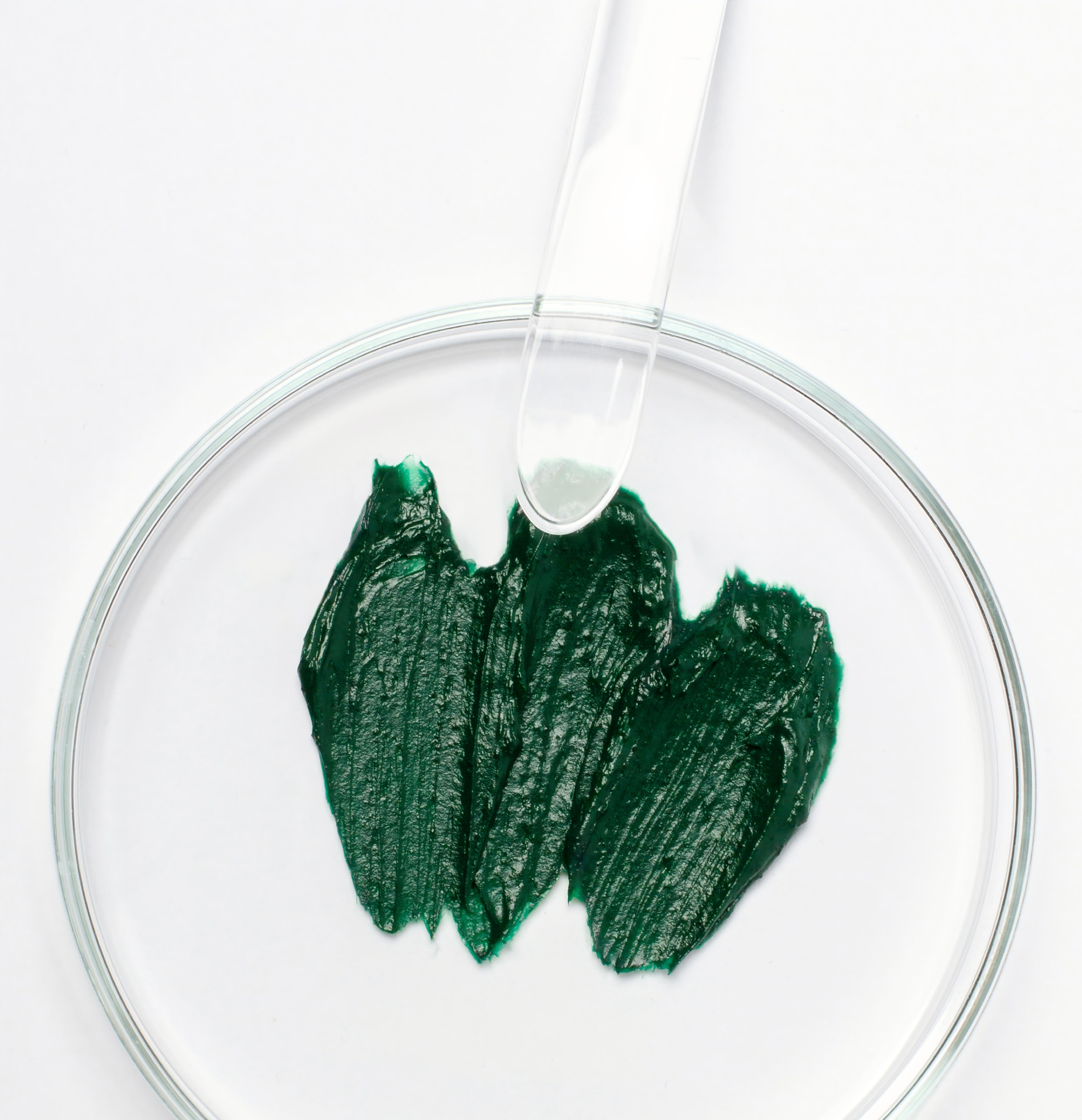 Spirulina Biomass (Wet/Paste)